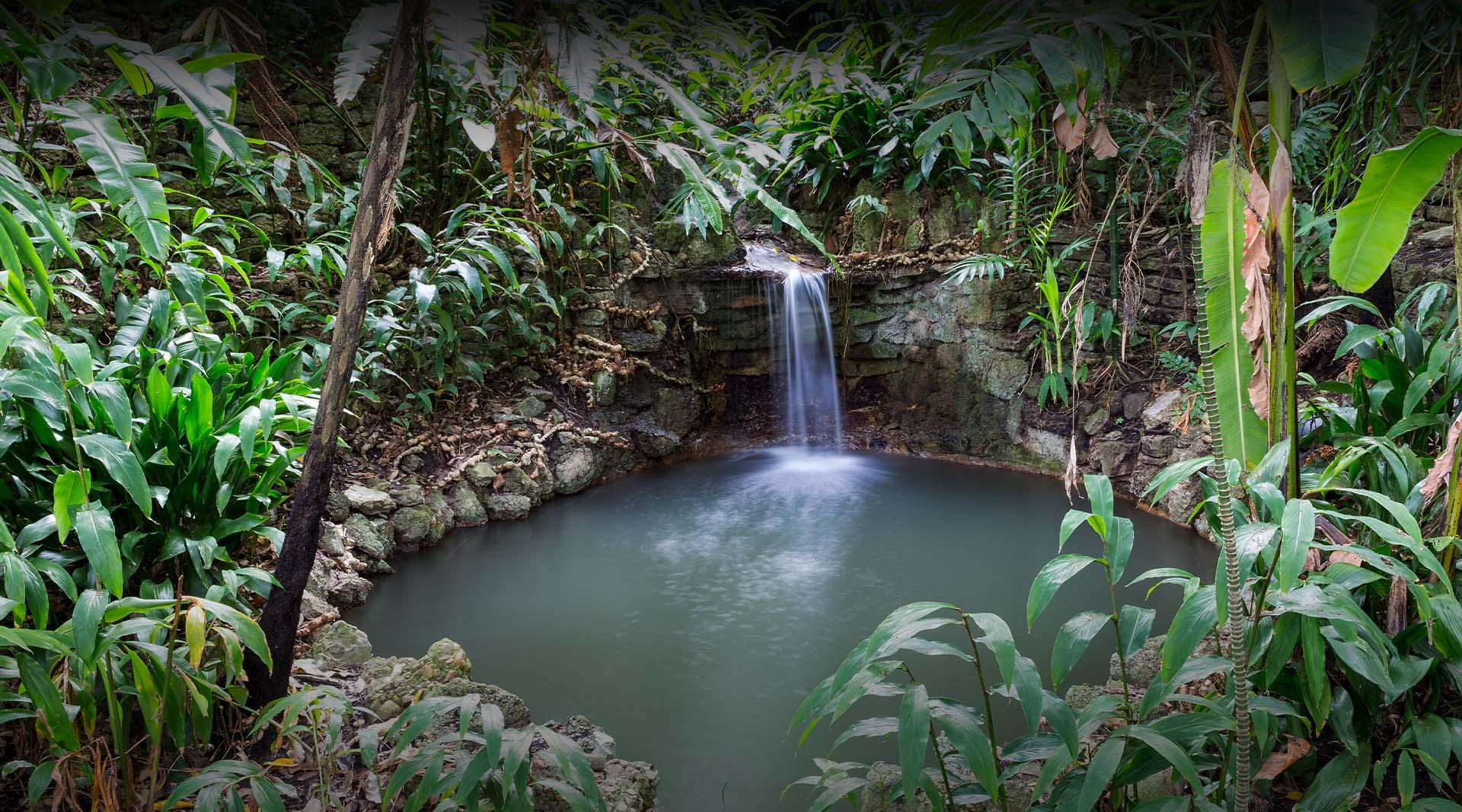 Ayol chochqaxonada chochqa bilan jinsiy aloqada boladi